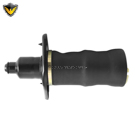 2003 Audi A6 Air Spring 1