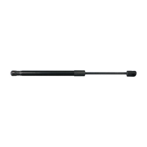 2006 Acura TL Hood Lift Support 1