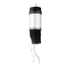 2017 Tesla X Strut 1