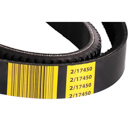 1996 Freightliner FLD120 Accessory Drive Belt 31