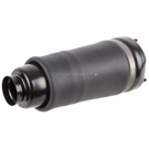 BuyAutoParts 76-10055AN Air Spring 2