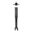 2010 Nissan Maxima Shock Absorber 1