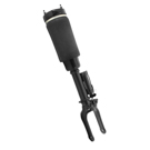 BuyAutoParts 75-20109AN Strut 5