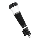 2004 Mercedes Benz S430 Strut 4
