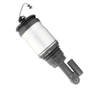 2010 Land Rover Range Rover Sport Strut 1