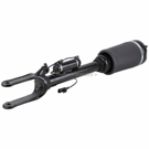 BuyAutoParts 75-20109AN Strut 2