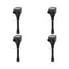 BuyAutoParts 32-70267F4 Ignition Coil Set 1