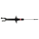 2012 Honda Crosstour Strut 1