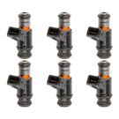 BuyAutoParts 35-80289I6 Fuel Injector Set 1