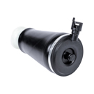 2004 Mercury Marauder Air Spring 2