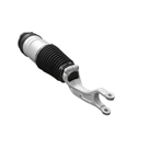 2017 Tesla S Air Suspension Strut 1