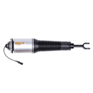 2009 Audi A8 Quattro Air Suspension Strut 1