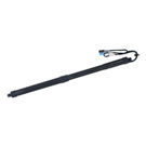 2011 Porsche Panamera Liftgate Lift Support 1