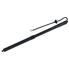 BuyAutoParts Liftgate Lift Support M9-40225AN