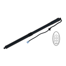 2021 Toyota RAV4 Liftgate Lift Support 1