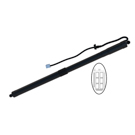 2021 Toyota RAV4 Liftgate Lift Support 1