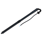 2021 Lexus NX300h Liftgate Lift Support 1