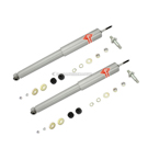 BuyAutoParts Amc Rebel Shock and Strut Set 77-60974AU