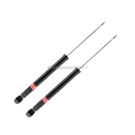 2017 Ford Fiesta Shock and Strut Set 1