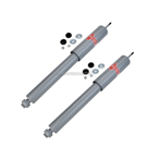 BuyAutoParts 2002 Ford FSeriesTrucks Shock and Strut Set 77-61341AU