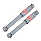 BuyAutoParts  Nissan Frontier Shock and Strut Set 77-61376AU