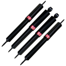 1994 Land Rover Discovery Shock and Strut Set 1