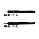 1995 Buick Skylark Shock and Strut Set 1