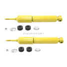 BuyAutoParts 2000 Dodge RamTrucks Shock and Strut Set 77-66533CO