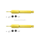 2000 Ford E Series Van Shock and Strut Set 1