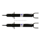 2017 Chrysler 300 Shock and Strut Set 1