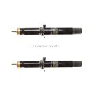 2010 Lincoln MKZ Shock and Strut Set 1