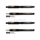 BuyAutoParts 2003 Dodge RamTrucks Shock and Strut Set 77-68495EM