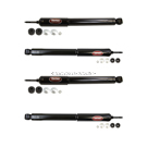 BuyAutoParts Dodge Shock and Strut Set 77-68507EM