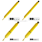 2012 Ford E-450 Super Duty Shock and Strut Set 1