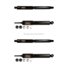 BuyAutoParts 2016 Ford FSeriesTrucks Shock and Strut Set 77-68591EM
