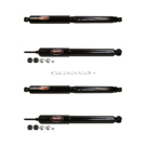 BuyAutoParts 2012 Ford FSeriesTrucks Shock and Strut Set 77-68639EM