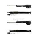 BuyAutoParts 77-68652F9 Shock and Strut Set 1