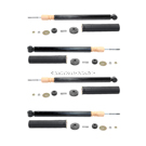2000 Mercedes Benz E430 Shock and Strut Set 1