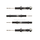 2000 Lincoln LS Shock and Strut Set 1
