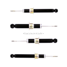 2000 Jaguar S-Type Shock and Strut Set 1