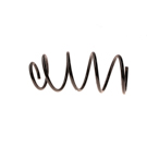 2007 Bmw 328xi Coil Spring 1