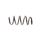 2004 Mercedes Benz C240 Coil Spring 1