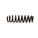 Sachs Coil Spring 994 476