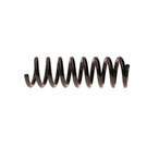2000 Mercedes Benz E430 Coil Spring 1