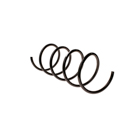 2005 Mercedes Benz C320 Coil Spring 2