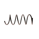2005 Mercedes Benz C320 Coil Spring 1