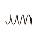 2006 Mercedes Benz C280 Coil Spring 1