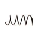 2004 Mercedes Benz C320 Coil Spring 1