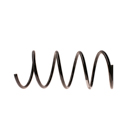 2005 Mercedes Benz C320 Coil Spring 1