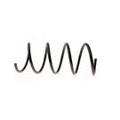 2006 Mercedes Benz C280 Coil Spring 1